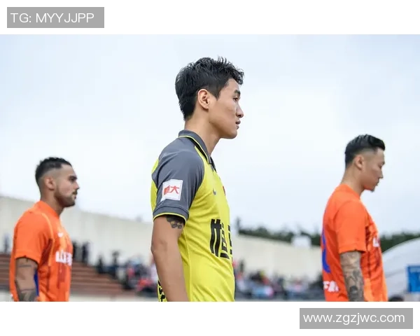 攀岩深度探索:揭秘上海攀岩队的转型与发展之路 攀岩深度探索:揭秘上海攀岩队的转型与发展之路