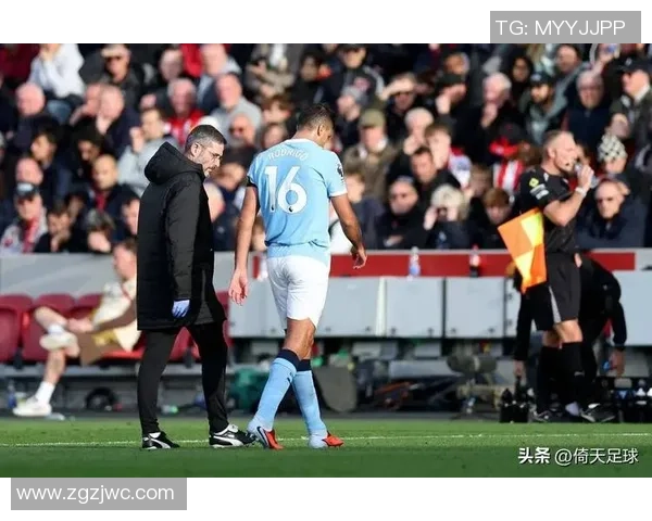 2012年欧洲足球预选赛瑞典对阵荷兰精彩对决回顾与分析